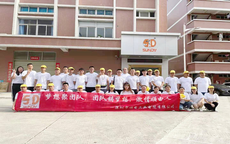 “夢(mèng)想聚團(tuán)隊(duì)，團(tuán)隊(duì)鑄夢(mèng)想”順電2021年旅游圓滿結(jié)束